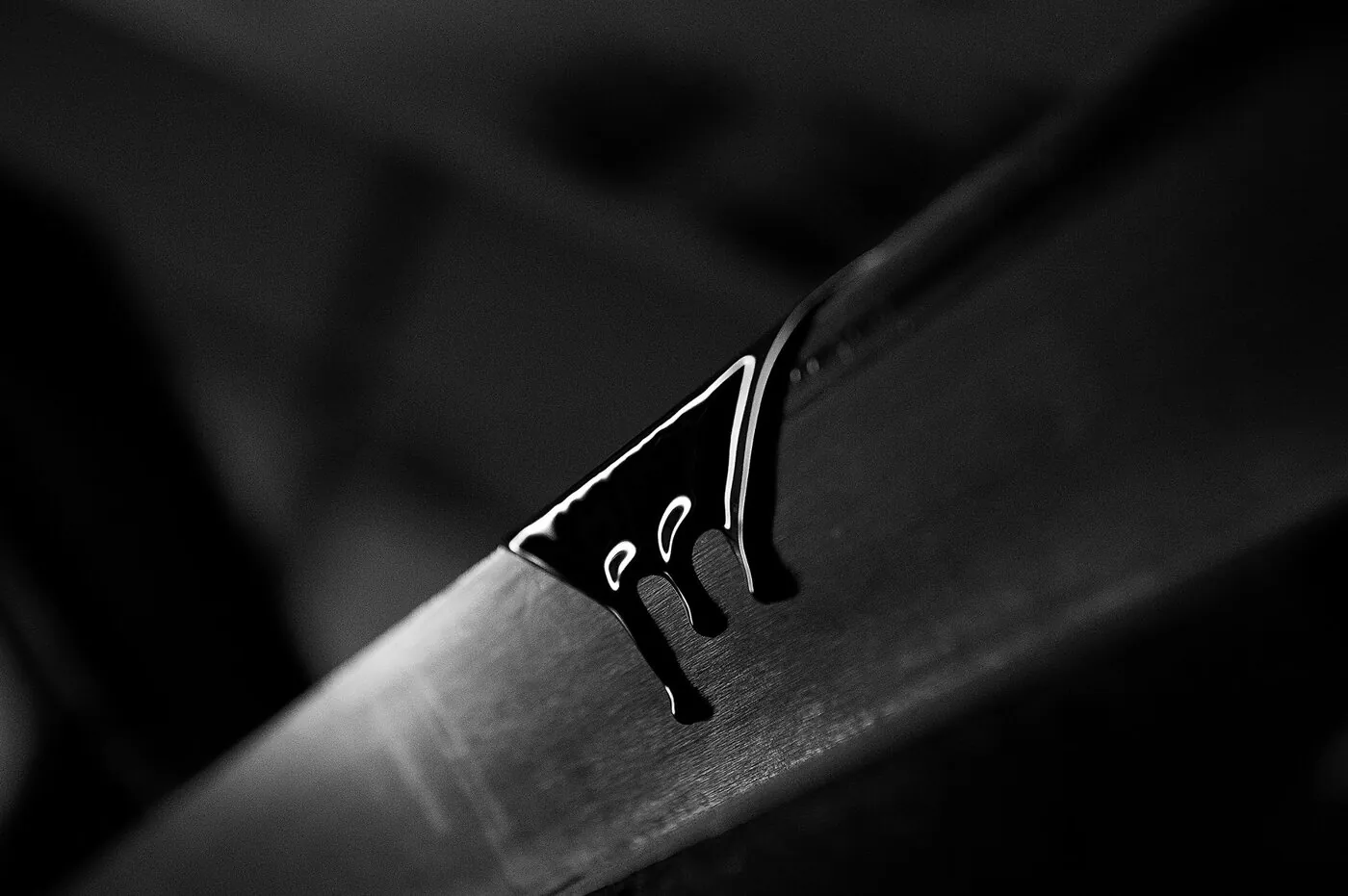 Le Journal de Gien dans un jardin devant une porte ancienne, chat passant en flou