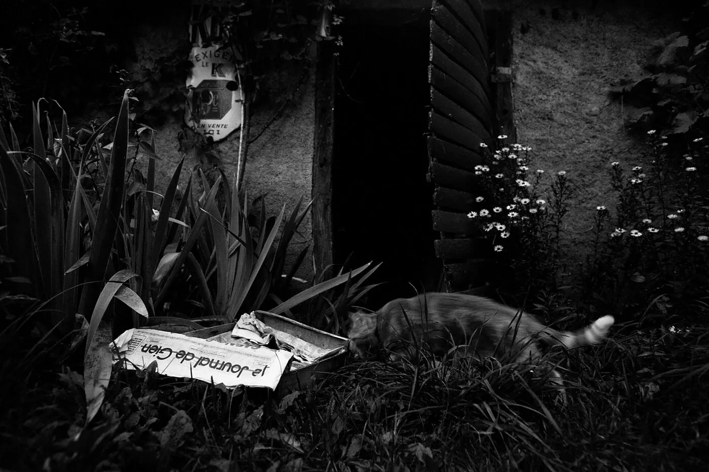 Imprimeur avec casque antibruit contrôlant la presse dans l'atelier, clair-obscur dramatique