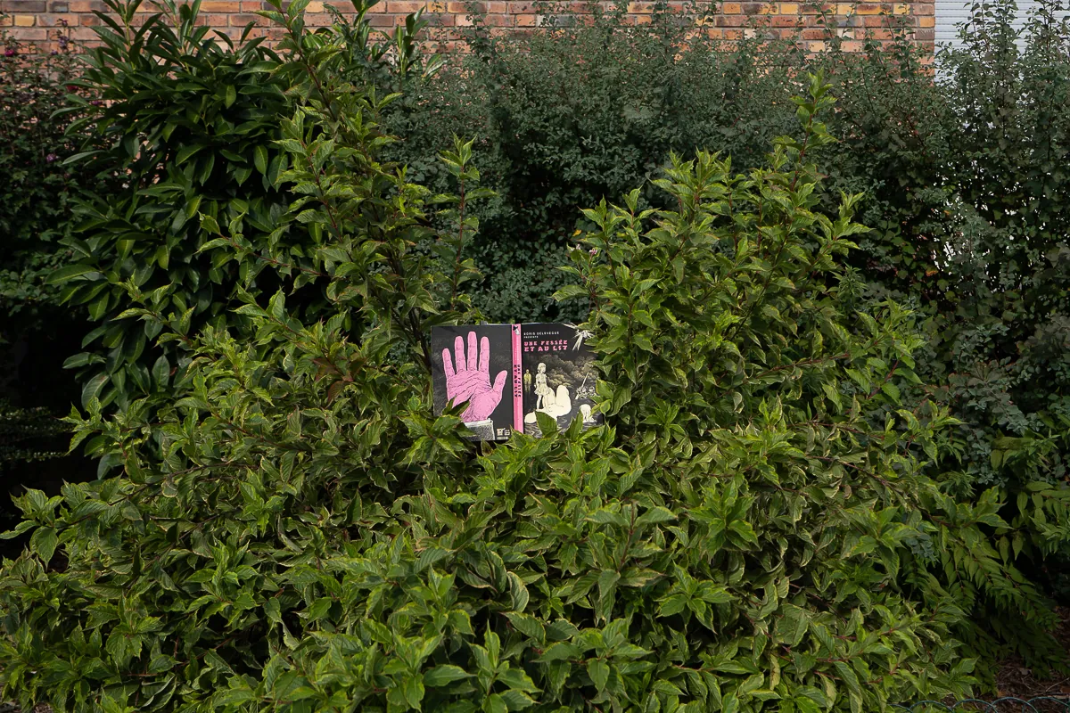 Lire - Romain Beaumont