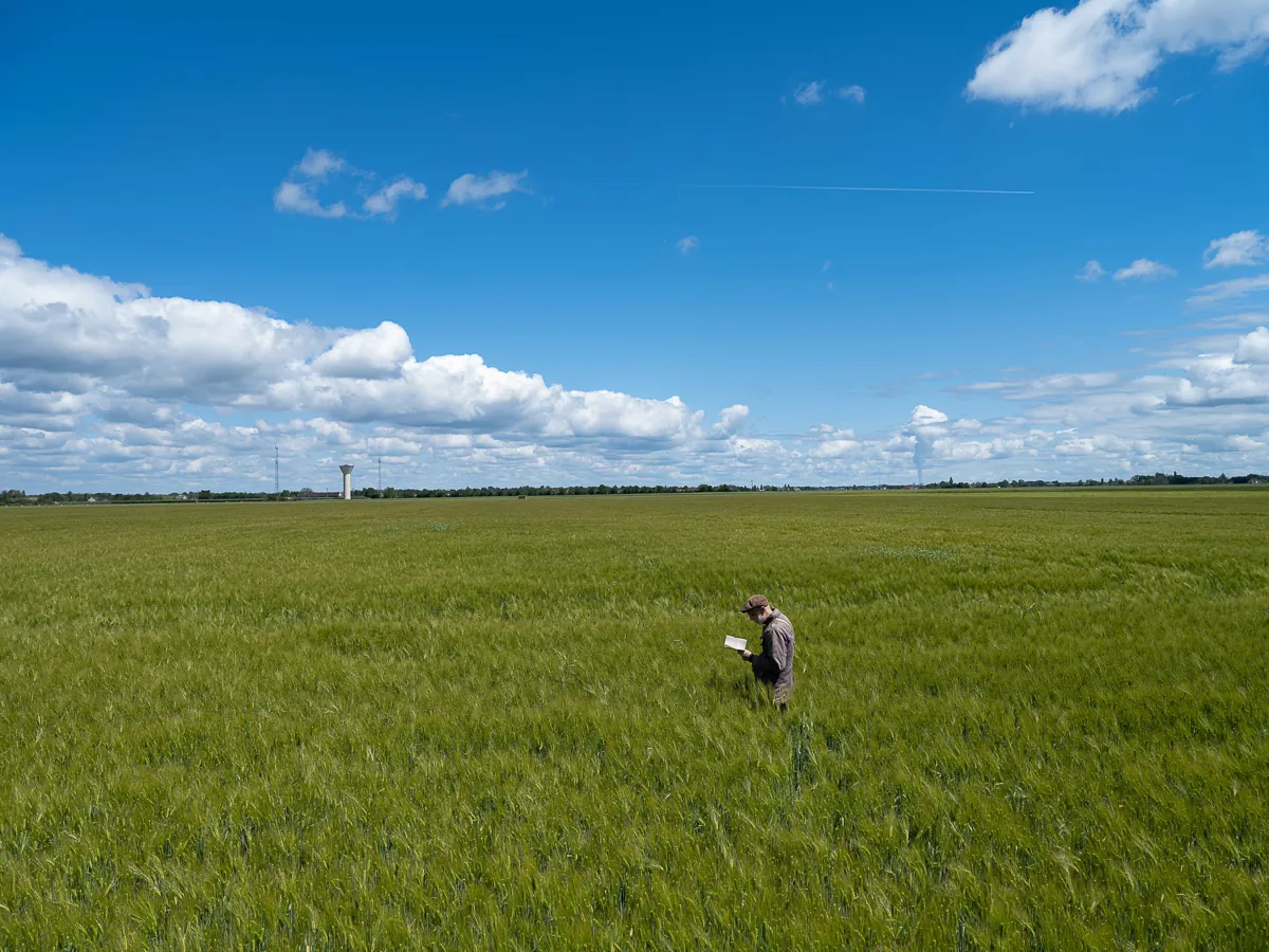 Lire - Romain Beaumont