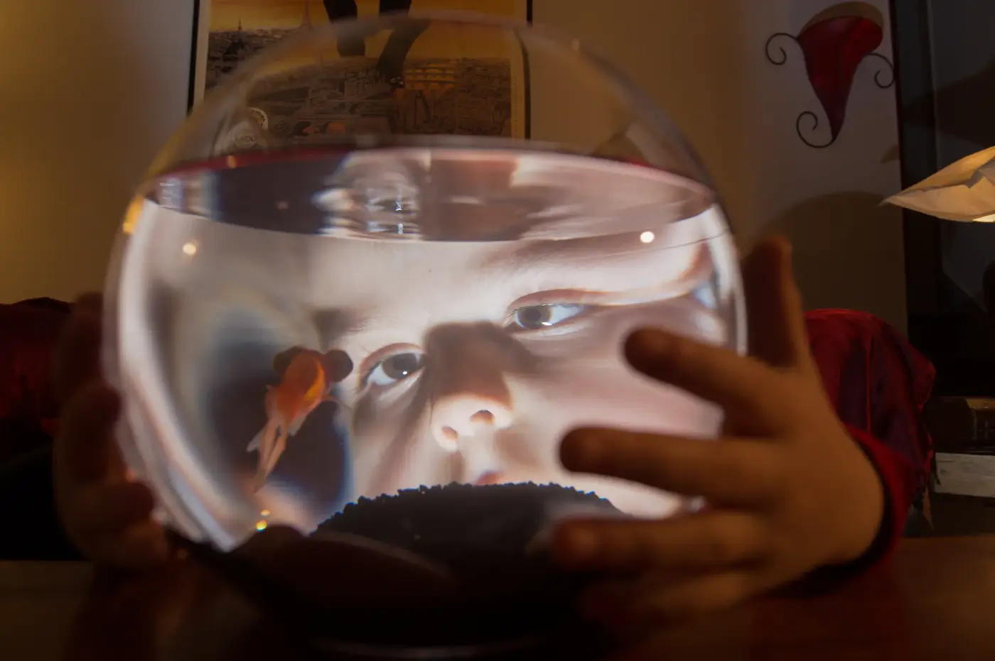 Portrait d'homme âgé à la barbe blanche tenant un bocal, regard direct