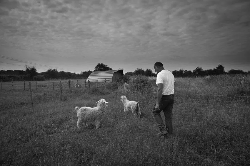 Éleveur et chèvres angora au pré, ciel moutonneux et paysage ouvert