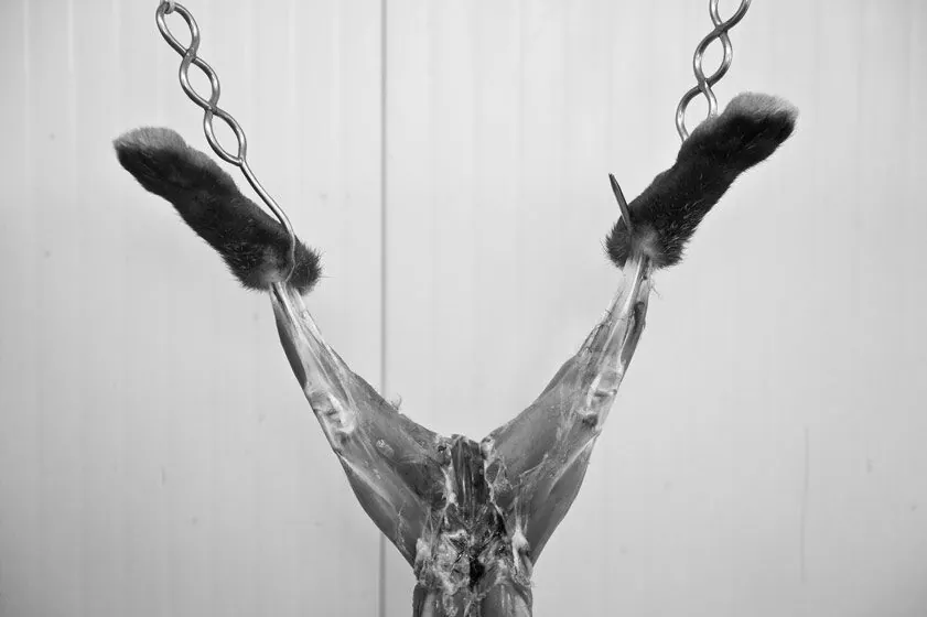 Éleveur posant dans sa ferme, portrait en pied