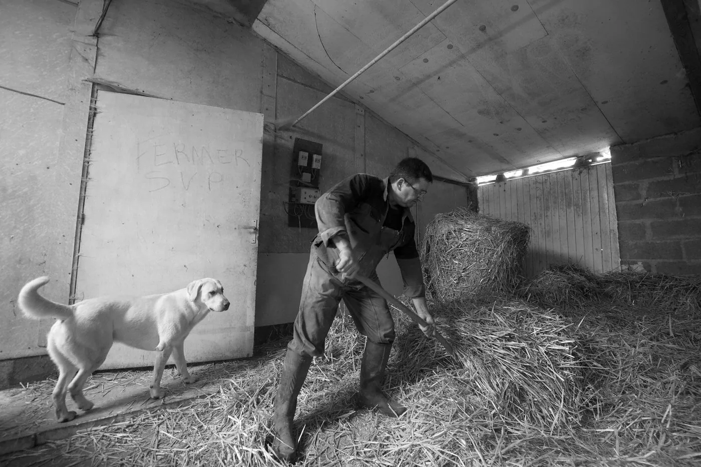 Bâtiment agricole et cour de ferme, pays giennois en noir et blanc